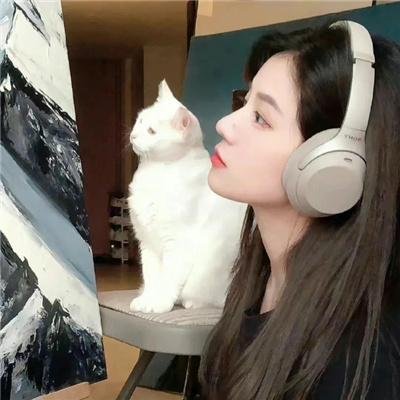 煽动者